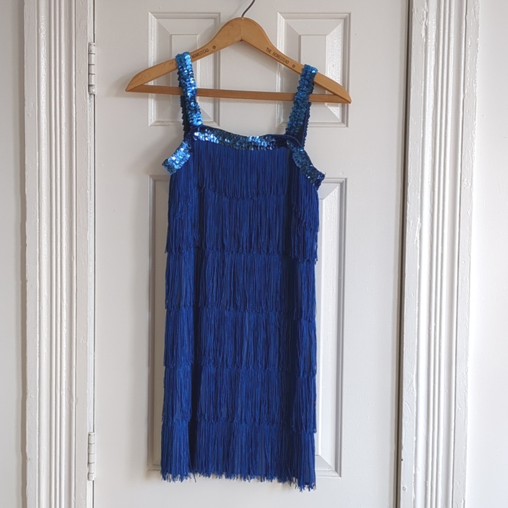 Flapper Costume Dress Sz Small Halloween Sequins Fringe Roaring 20s Gangster
